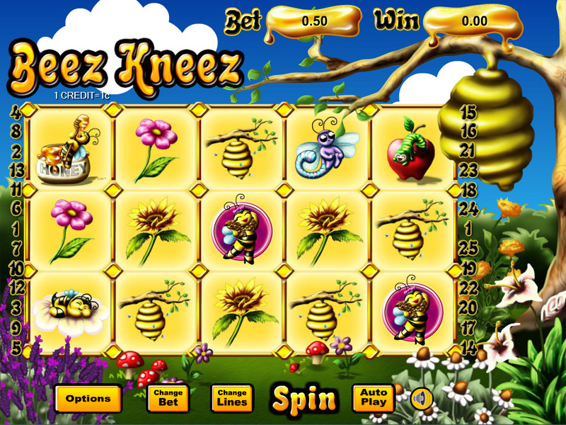 Beez Kneez Entry Screen